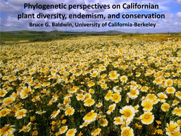 Origin and Evolution of Compositae Jepson Workshop Aug 2015 California Floristic Province