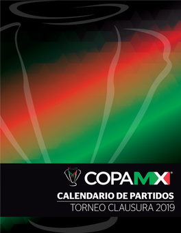 Torneo Clausura 2019 Of