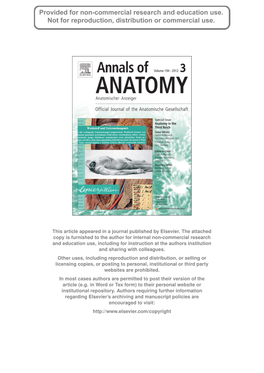 Dissecting the History of Anatomy in the Third Reich—1989–2010: a Personal Account