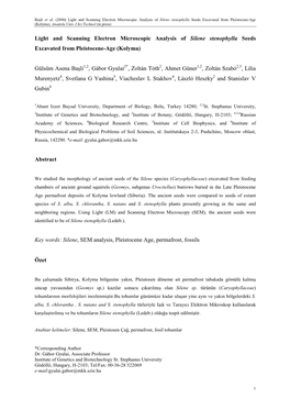 Light and Scanning Electron Microscopic Analysis of Silene Stenophylla Seeds Excavated from Pleistocene�Age (Kolyma)