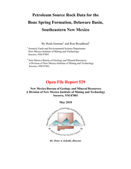 Petroleum Source Rock Data for the Bone Spring Formation, Delaware Basin, Southeastern New Mexico