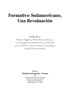 Formativo Sudamericano, Una Revaluación