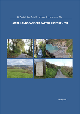 Local Landscape Character Assessement