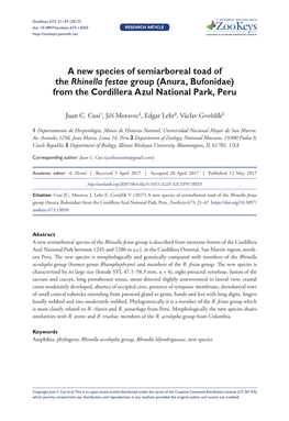 A New Species of Semiarboreal Toad of the Rhinella Festae Group