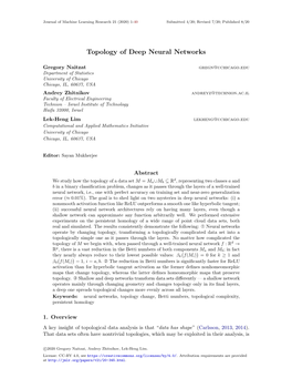 Topology of Deep Neural Networks