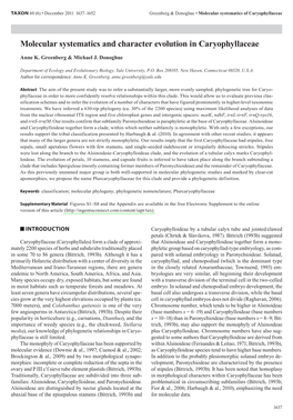 Molecular Systematics and Character Evolution in Caryophyllaceae