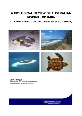 A Biological Review of Australian Marine Turtles. 1