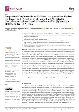 Integrative Morphometric and Molecular Approach to Update The