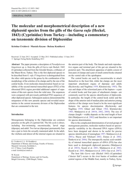 The Molecular and Morphometrical Description of a New Diplozoid