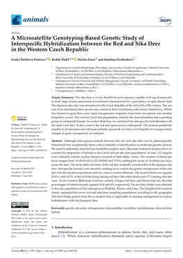 A Microsatellite Genotyping-Based Genetic Study of Interspecific