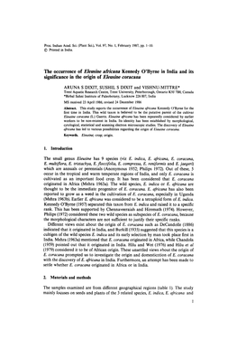 Eleusine Africana Kennedy O'byrne in India and Its Significance in the Origin of Eleusine Coracana