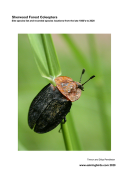 Sherwood Forest Coleoptera Species List and Records 2020