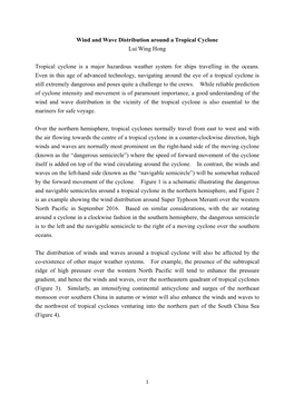Wind and Wave Distribution Around a Tropical Cyclone Lui Wing Hong