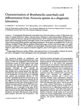 Differentiation from Neisseria Species in a Diagnostic Laboratory