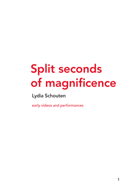 Split Seconds of Magnificence Lydia Schouten