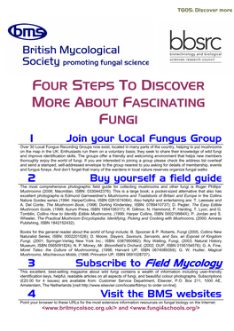 Four Steps to Discover More About Fascinating Fungi