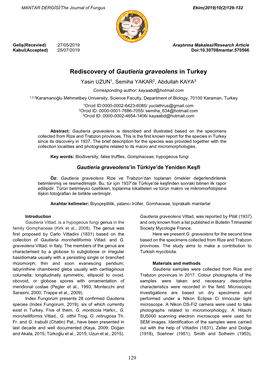 Rediscovery of Gautieria Graveolens in Turkey