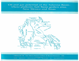 Oil and Gas Potential of the Tularosa Basin-Otero Platform-Salt Basin Graben Area, New Mexico and Texas