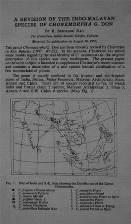 A Revision of the Indo-Malayan Species of Chonemorpha G