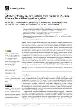 Citrobacter Tructae Sp. Nov. Isolated from Kidney of Diseased Rainbow Trout (Oncorhynchus Mykiss)