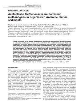 Acetoclastic Methanosaeta Are Dominant Methanogens in Organic-Rich Antarctic Marine Sediments