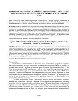 Especies De Phasmatodea Y Mantodea Depositadas En La Colección Entomológica De La Universidad Autónoma De Aguascalientes (Uaa)