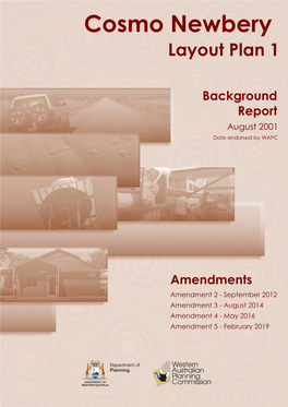 Cosmo Newbery LP1 Amendment 5 Report