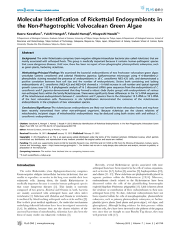 Molecular Identification of Rickettsial Endosymbionts in the Non-Phagotrophic Volvocalean Green Algae