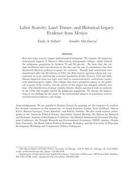 Labor Scarcity, Land Tenure, and Historical Legacy: Evidence from Mexico