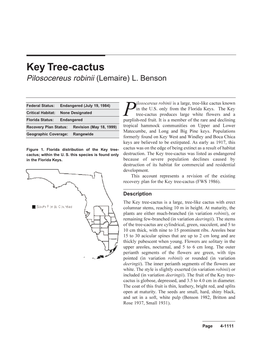 Key Tree-Cactus Pilosocereus Robinii (Lemaire) L