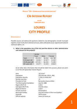 Loures City Profile and Demographic Situation