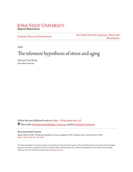 The Telomere Hypothesis of Stress and Aging