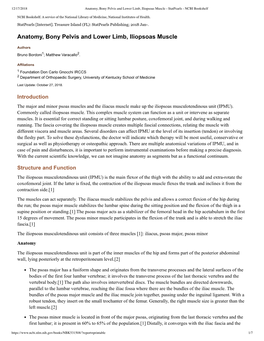 Iliopsoas Muscle - Statpearls - NCBI Bookshelf