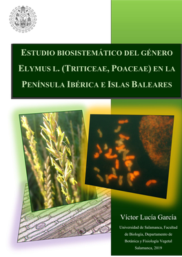 Triticeae, Poaceae) En La