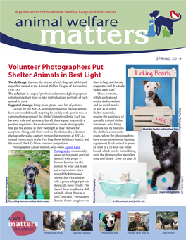 Volunteer Photographers Put Shelter Animals in Best Light