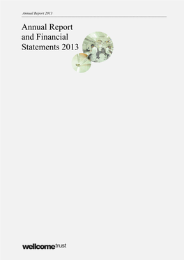 Annual Report and Financial Statements 2013