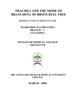 Trachea and the Mode of Branching of Bronchial Tree