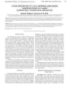 A New Species of Dynamine Hübner, [1819] from Northwestern Ecuador (Lepidoptera: Nymphalidae: Biblidinae)