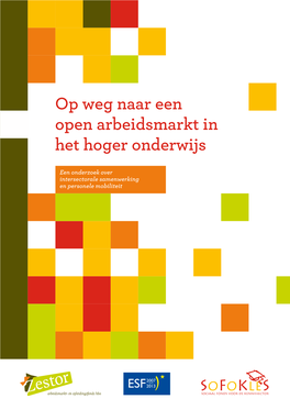 Op Weg Naar Een Open Arbeidsmarkt in Het Hoger Onderwijs