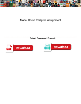 Model Horse Pedigree Assignment