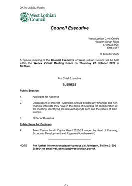 Council Executive