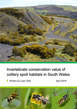 Invertebrate Conservation Value of Colliery Spoil Habitats in South Wales
