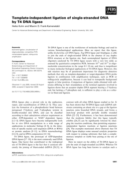 Template-Independent Ligation of Single-Stranded DNA by T4 DNA Ligase Heiko Kuhn and Maxim D