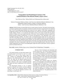 Topographical and Morphological Anatomy of the Guttural Pouches of the Domestic Donkey (Equus Asinus)