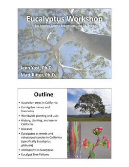 Eucalypt Biology