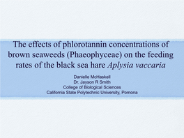 The Effects of Phlorotannin Concentrations of Brown Seaweeds (Phaeophyceae) on the Feeding Rates of the Black Sea Hare Aplysia Vaccaria