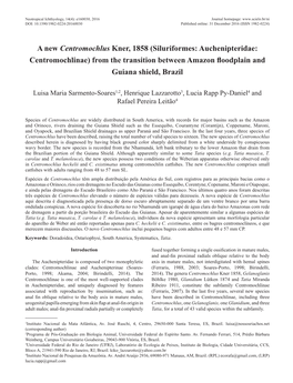 A New Centromochlus Kner, 1858 (Siluriformes: Auchenipteridae: Centromochlinae) from the Transition Between Amazon Floodplain and Guiana Shield, Brazil
