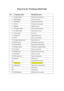 Plant List for Welchman Hall Gully