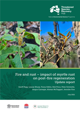 8-3-5-Fire-And-Rust-Impact-Of-Myrtle