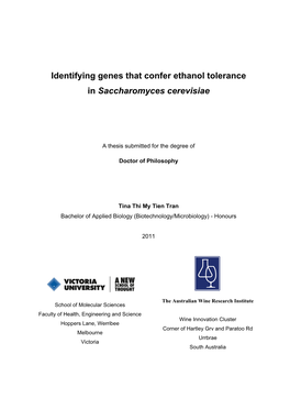Identifying Genes That Confer Ethanol Tolerance in Saccharomyces Cerevisiae